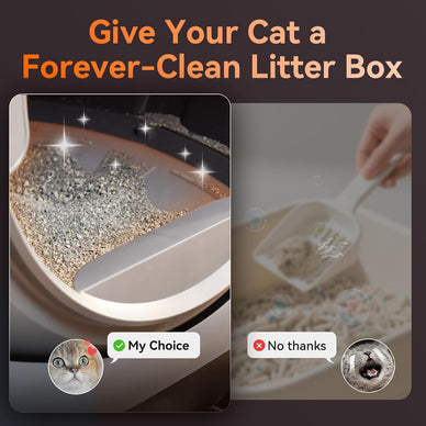 "Experience a Hassle-Free Life With Happy Cats!"