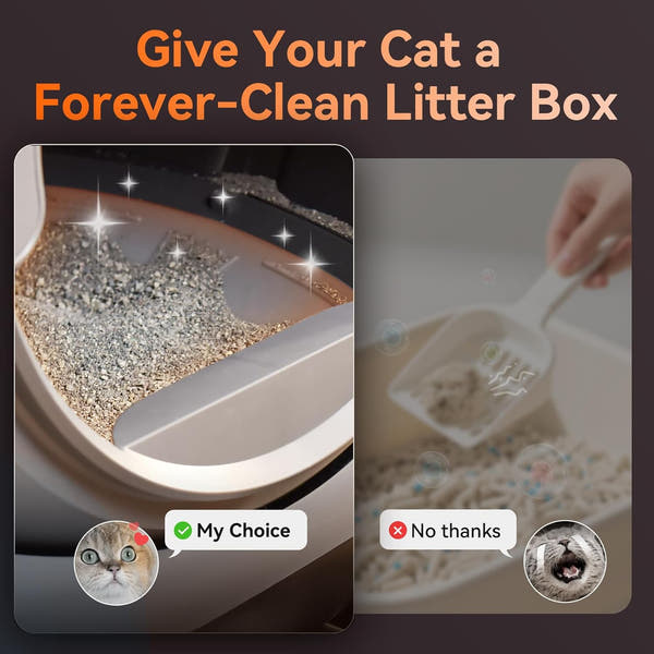 LitterMate