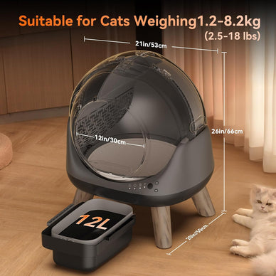 "Experience a Hassle-Free Life With Happy Cats!"